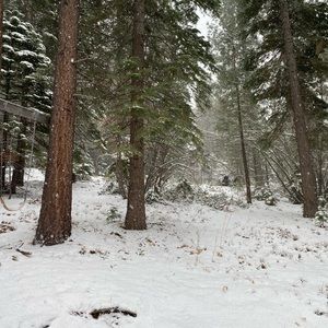 Meet your Posher, Gianna